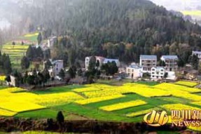 南部縣首屆菜花節(jié)將于3月12日在保城鄉(xiāng)香柱山隆重開(kāi)幕