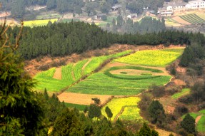 南部縣首屆菜花節(jié)開(kāi)幕活動(dòng)