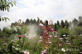 “‘微’觀南部?絢彩端午” “正南昆杯”南部縣首屆微電影節(jié)活動開始啦！