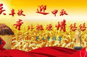 南部縣首屆豐收節(jié)慶?；顒铀峦馓以捶謺? title=