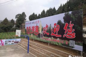 新春年味濃，相約正覺寺