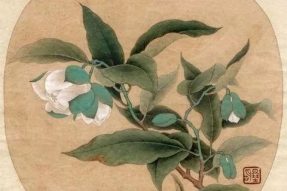 《寺外桃源講花卉》– 春光無限，種一株山茶花吧