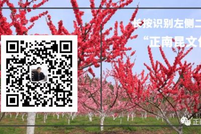 《寺外桃源講花卉》–喜悅熱烈的大麗花想告訴你福利來咯！