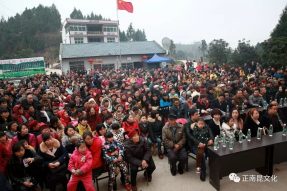 村晚十五周年盛典，星光大道明星與您同慶！
