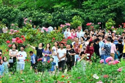 沸騰的小山村——伏虎寺外桃源，令人震撼的美！