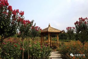 從升鐘湖到八爾湖，都是我們的親水夢(mèng)