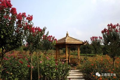 從升鐘湖到八爾湖，都是我們的親水夢(mèng)