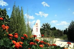 先睹為快！迎國(guó)慶寺外桃源景區(qū)添新顏啦！