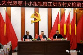 南部縣人大代表蒞臨正覺寺村 調研文旅融合鄉(xiāng)村振興“寺外桃源”項目