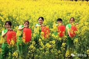 抗擊疫情 擁抱春天，2020南部縣西水鎮(zhèn)網(wǎng)絡(luò)油菜花文化節(jié)